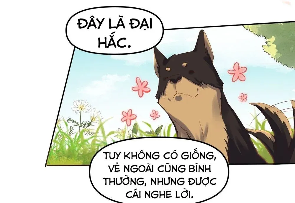 đọc truyện Nguyên Lai Ta Là Tu Tiên Đại Lão Chương 21 ảnh 28 tại Giả Dược