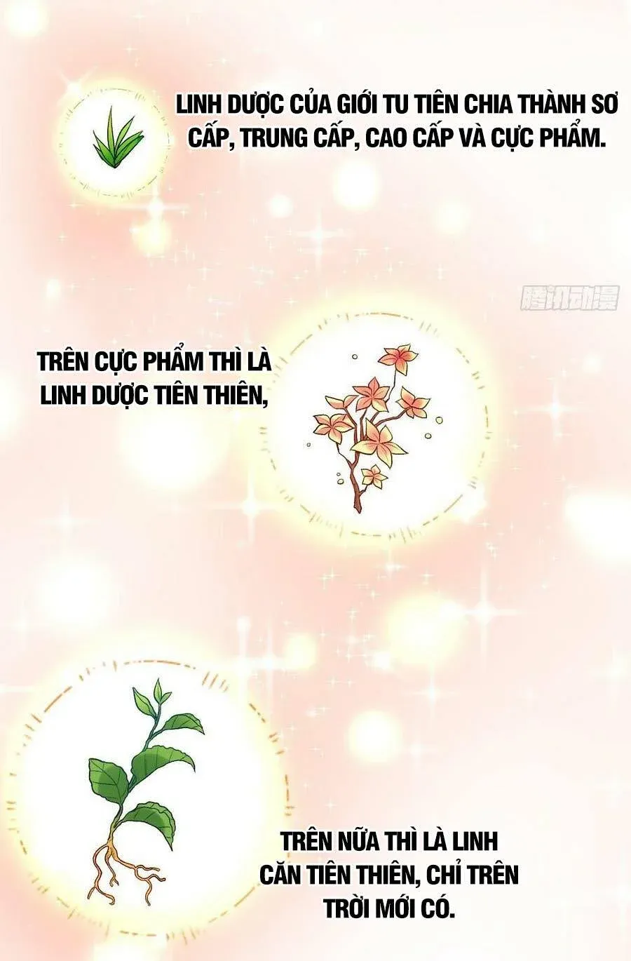 đọc truyện Nguyên Lai Ta Là Tu Tiên Đại Lão Chương 23 ảnh 26 tại Giả Dược