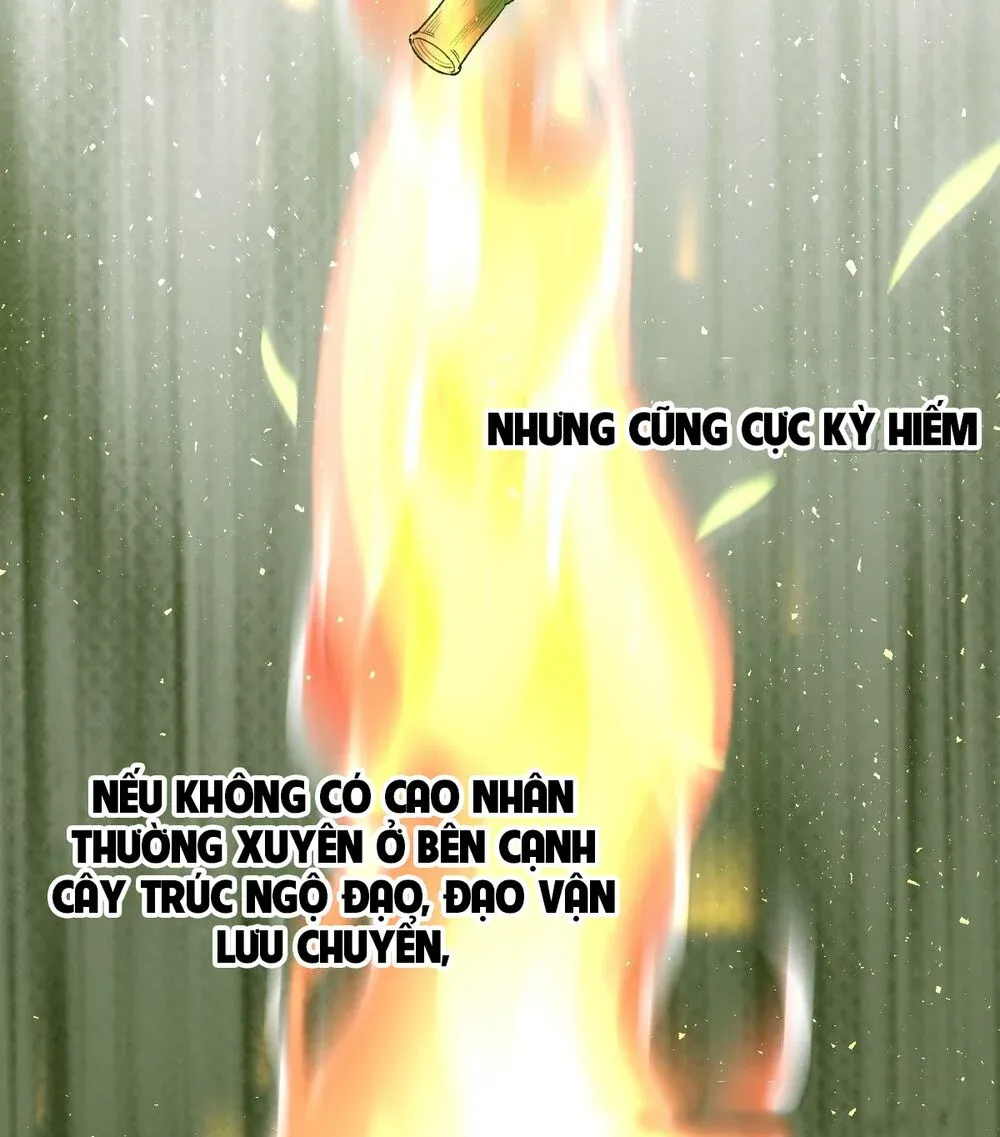 đọc truyện Nguyên Lai Ta Là Tu Tiên Đại Lão Chương 30 ảnh 17 tại Truyện Dạ Ký