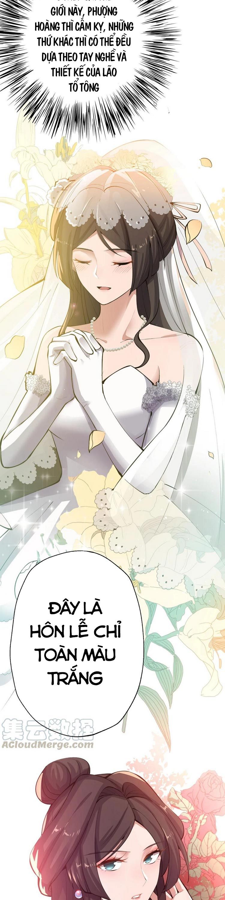 đọc truyện Nguyên Long Chương 205 ảnh 13 tại Thiên Thai Truyện