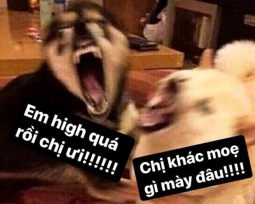 đọc truyện Nguyên Tắc Mối Quan Hệ Chương 17 ảnh 24 tại Thiên Thai Truyện