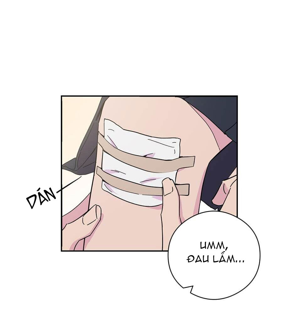 đọc truyện Nguyên Tắc Mối Quan Hệ Chương 6 ảnh 3 tại Thiên Thai Truyện