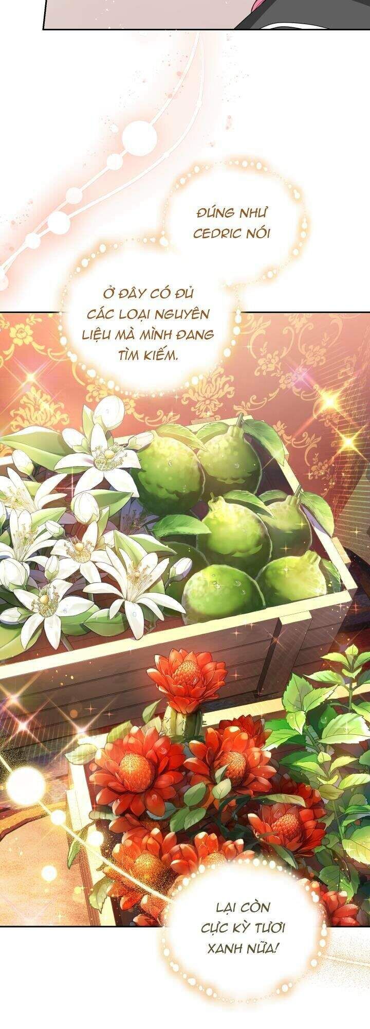đọc truyện Nhà Điều Chế Nước Hoa Độc Quyền Của Bạo Chúa Chương 22 ảnh 41 tại Thiên Thai Truyện