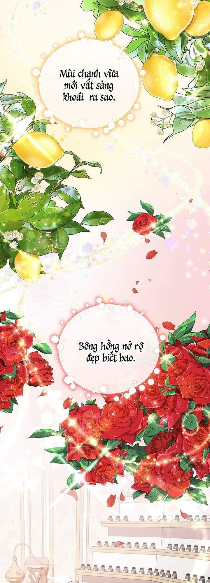 đọc truyện Nhà Điều Chế Nước Hoa Độc Quyền Của Bạo Chúa Chương 4 ảnh 21 tại Thiên Thai Truyện