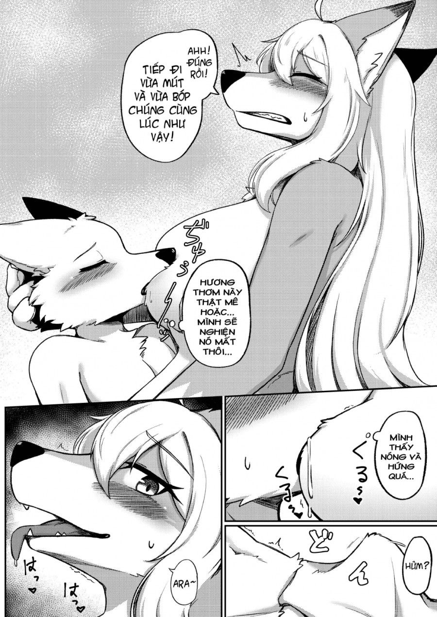 Nhà Hàng Gray Wolf: Thực Đơn Đặc Biệt Oneshot page 10 - Giả Dược