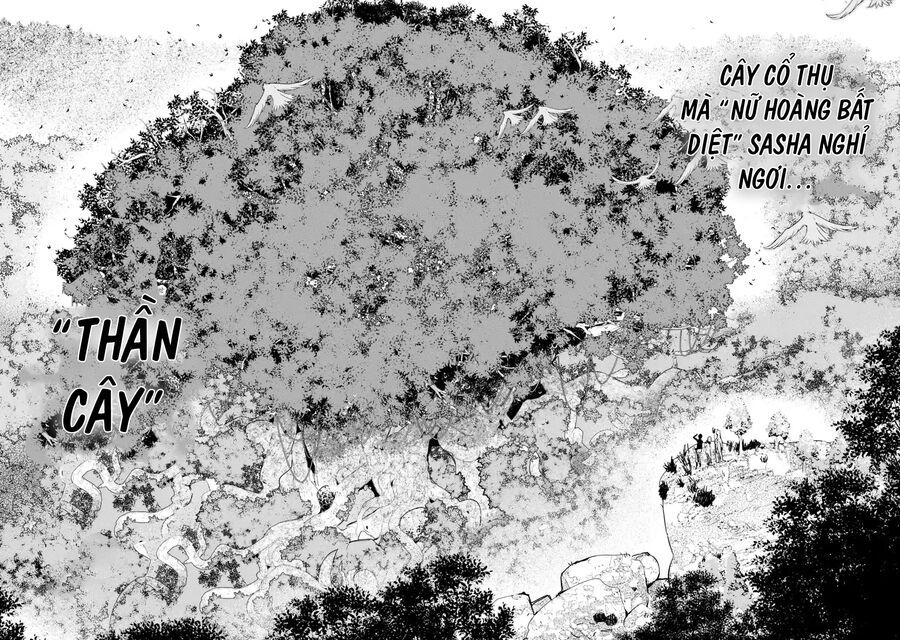 đọc truyện Nhà Hiền Triết Vô Song Chưa Thành Công Về Mặt Học Thuật ~ Một Phù Thủy S-rank Gian Lận Sau Tái Sinh Chương 62 ảnh 13 tại Thiên Thai Truyện