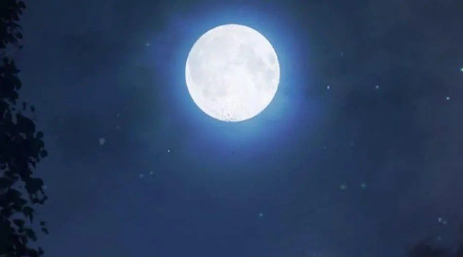 đọc truyện Nhà Tù Vị Thành Niên Chương 69 ảnh 403 tại Thiên Thai Truyện