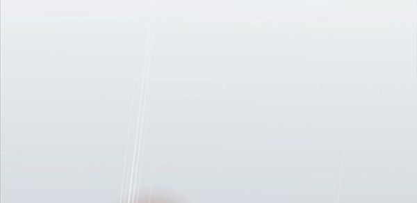 đọc truyện Nhà Vô Địch Kalli Chương 11 ảnh 95 tại Thiên Thai Truyện