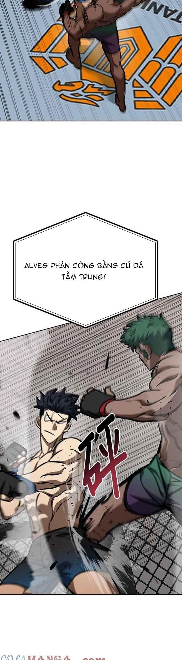 đọc truyện Nhà Vô Địch Kalli Chương 131 ảnh 38 tại Thiên Thai Truyện