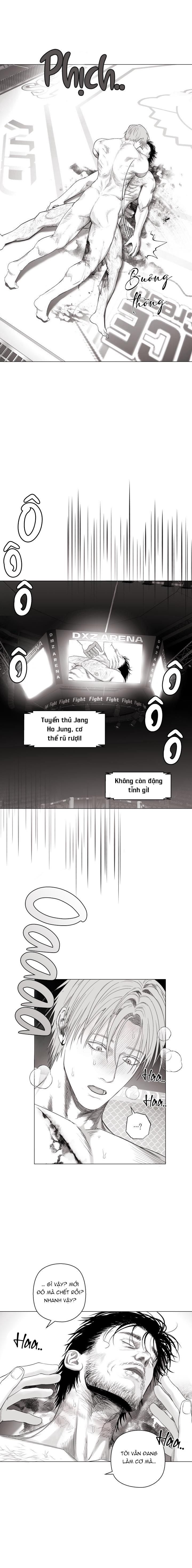 đọc truyện Nhà Vô Địch Ngoan Cường Chương 11 ảnh 5 tại Giả Dược