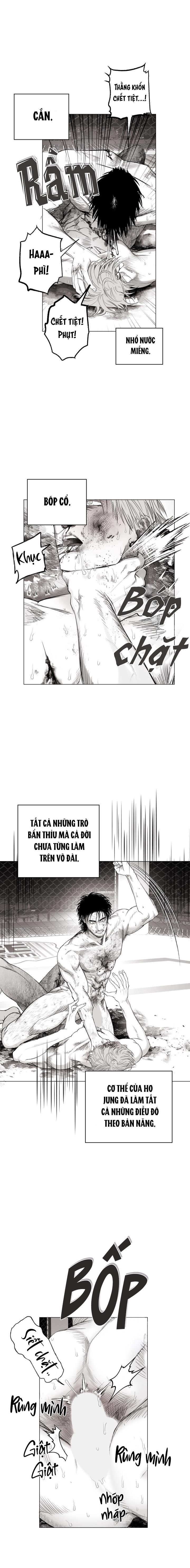 đọc truyện Nhà Vô Địch Ngoan Cường Chương 11 ảnh 10 tại Giả Dược