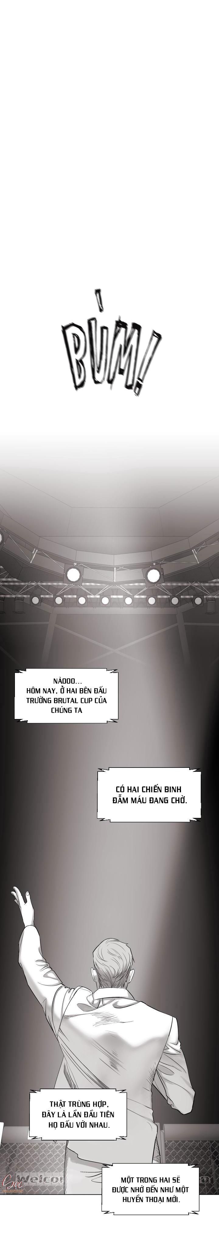 đọc truyện Nhà Vô Địch Ngoan Cường Chương 13 ảnh 8 tại Giả Dược