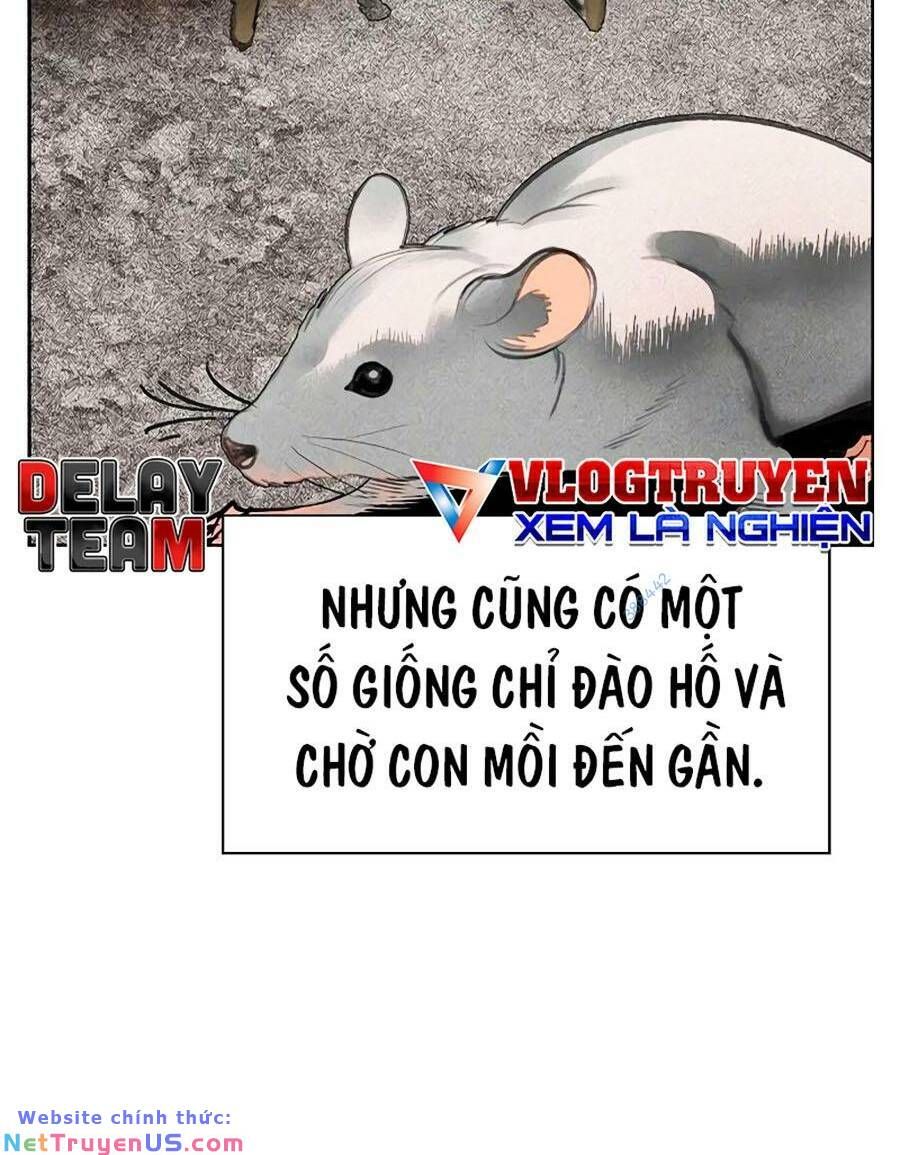 đọc truyện Nhân Trùng Đại Chiến Chương 105 ảnh 62 tại Thiên Thai Truyện