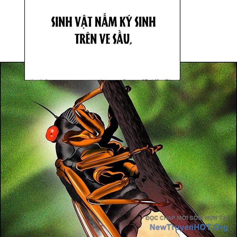 đọc truyện Nhân Trùng Đại Chiến Chương 169 ảnh 94 tại Thiên Thai Truyện