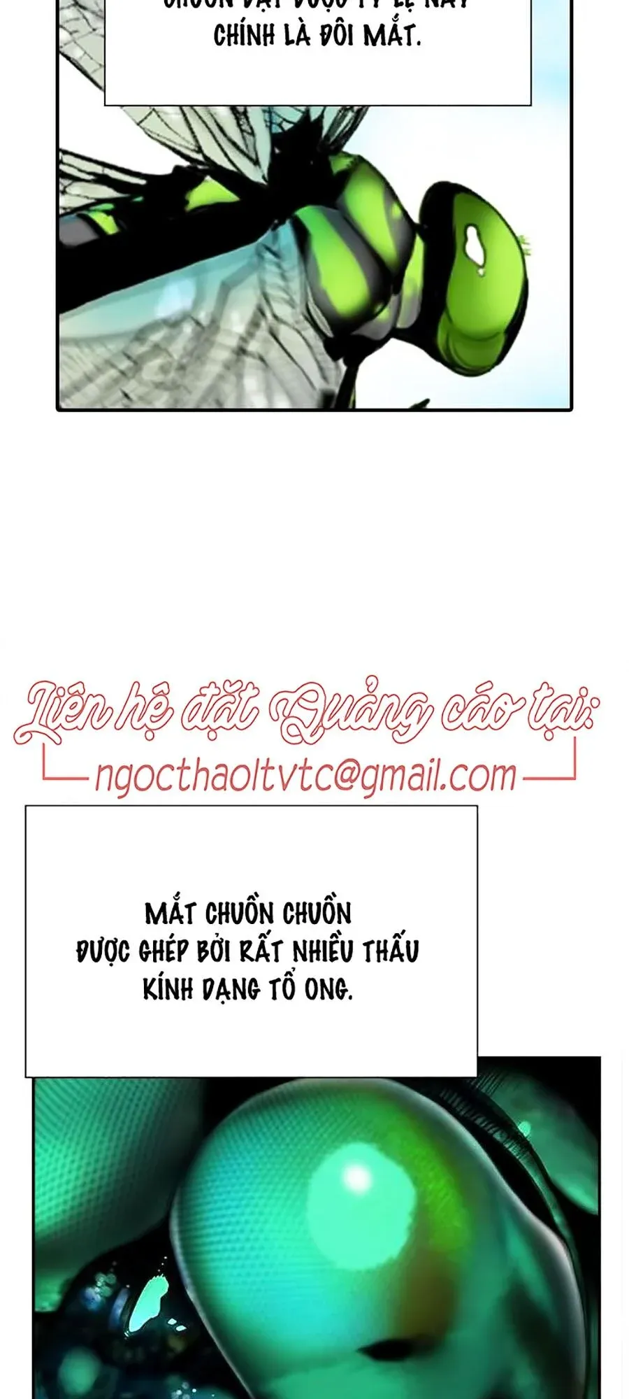 đọc truyện Nhân Trùng Đại Chiến Chương 4 ảnh 99 tại Thiên Thai Truyện