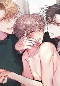Nhân Viên Hợp Đồng Tình Yêu