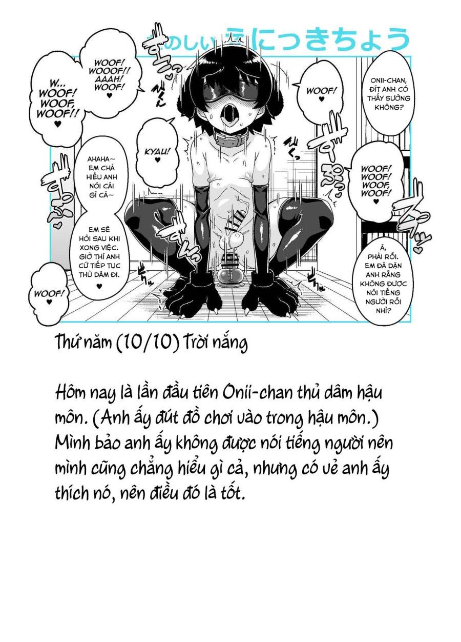 Nhật Kí Huấn Luyện Onii-chan Oneshot page 17 - Giả Dược