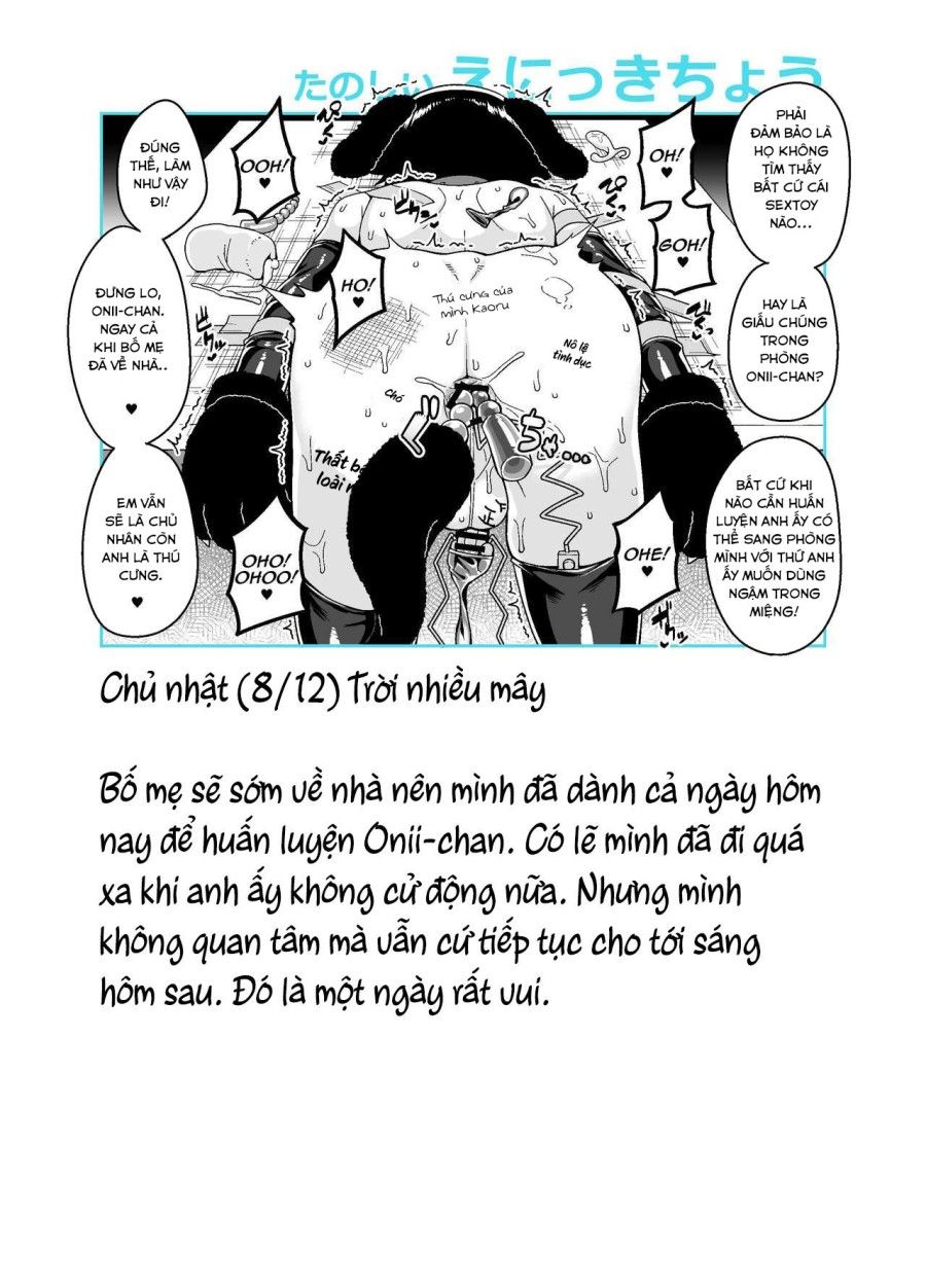 Nhật Kí Huấn Luyện Onii-chan Oneshot page 21 - Giả Dược