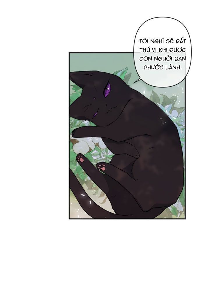 đọc truyện Nhật Ký Nuôi Dưỡng Quái Thú Chương 17 ảnh 10 tại Thiên Thai Truyện