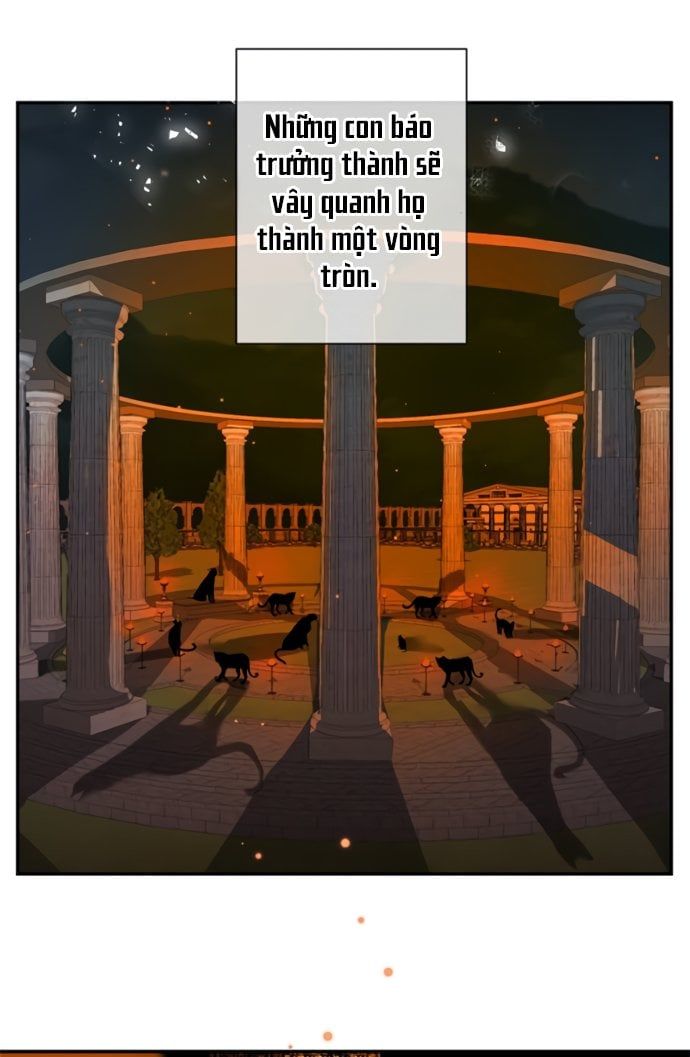 đọc truyện Nhật Ký Nuôi Dưỡng Quái Thú Chương 18 ảnh 55 tại Thiên Thai Truyện