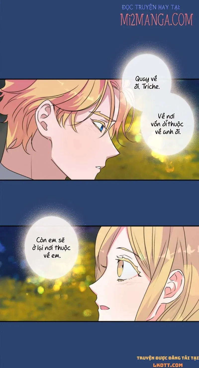 đọc truyện Nhật Ký Nuôi Dưỡng Quái Thú Chương 47.5 ảnh 23 tại Thiên Thai Truyện