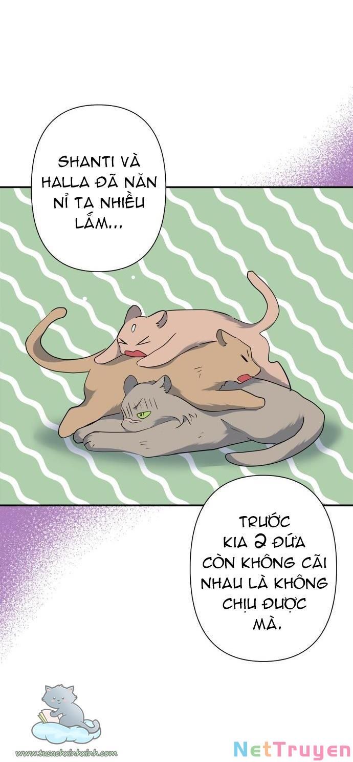 đọc truyện Nhật Ký Nuôi Dưỡng Quái Thú Chương 68 ảnh 50 tại Thiên Thai Truyện