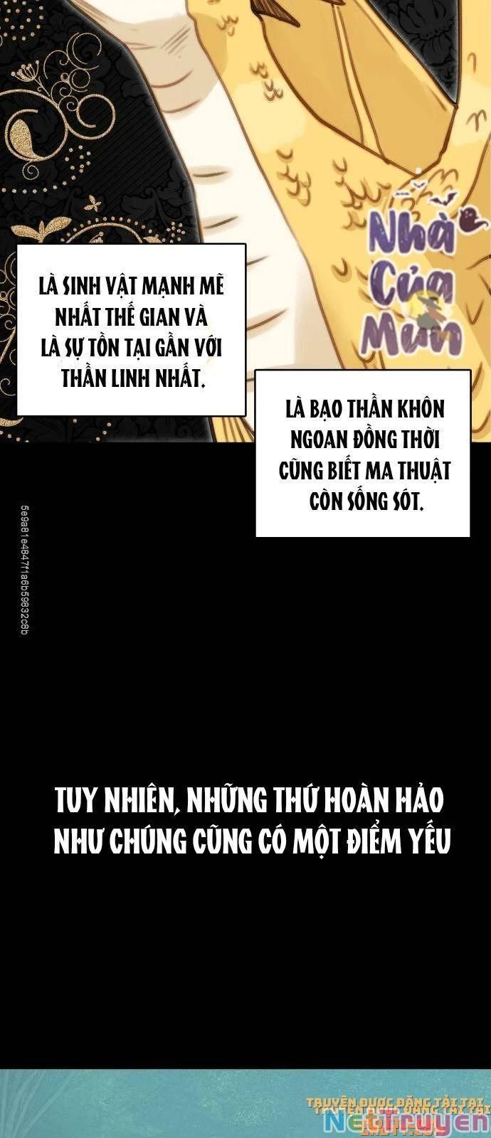 đọc truyện Nhật Ký Tuần Trăng Mật Của Phù Thủy Và Rồng Chương 12 ảnh 29 tại Giả Dược