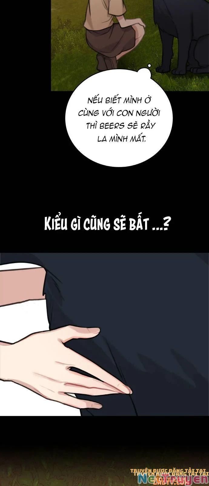 đọc truyện Nhật Ký Tuần Trăng Mật Của Phù Thủy Và Rồng Chương 13 ảnh 14 tại Thiên Thai Truyện