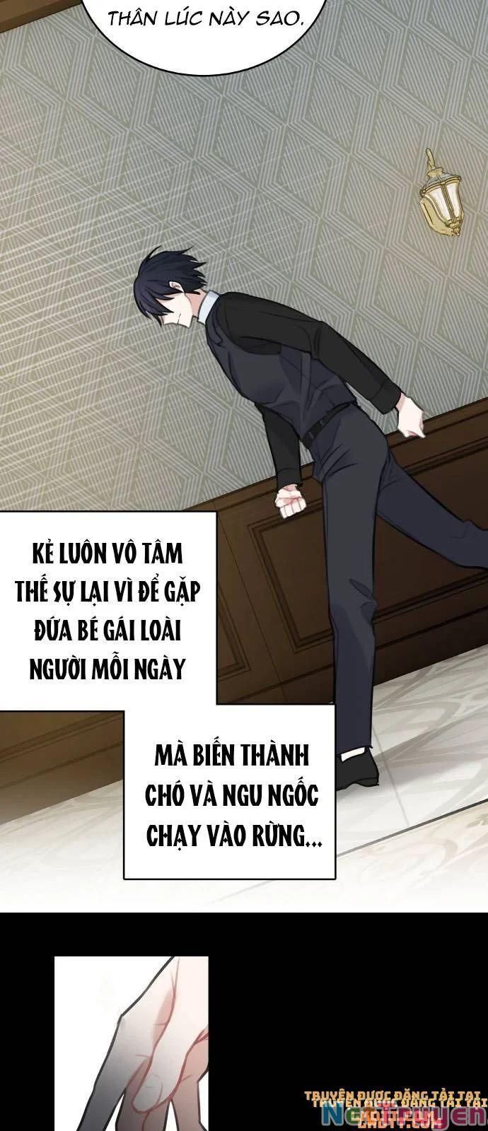 đọc truyện Nhật Ký Tuần Trăng Mật Của Phù Thủy Và Rồng Chương 14 ảnh 12 tại Thiên Thai Truyện