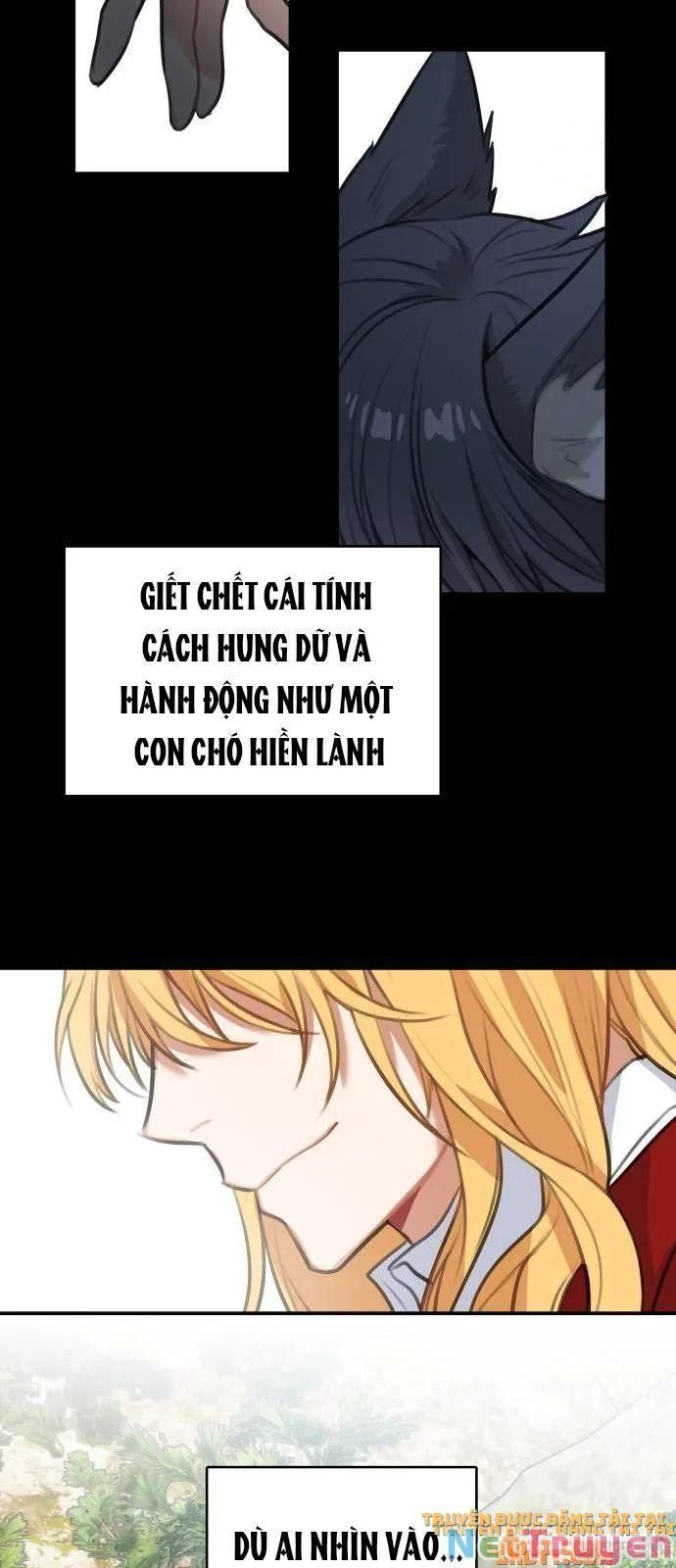 đọc truyện Nhật Ký Tuần Trăng Mật Của Phù Thủy Và Rồng Chương 14 ảnh 13 tại Thiên Thai Truyện