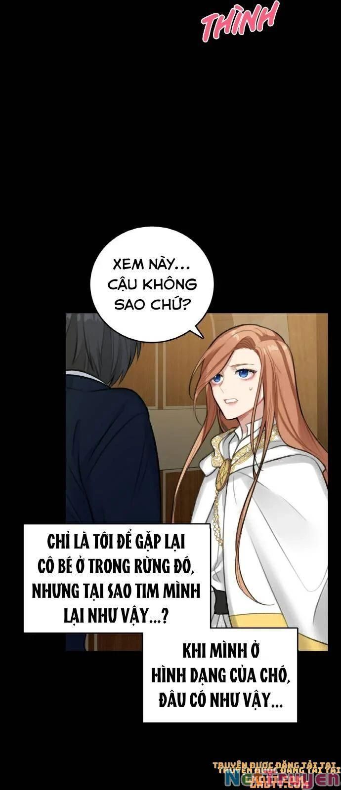 đọc truyện Nhật Ký Tuần Trăng Mật Của Phù Thủy Và Rồng Chương 15 ảnh 49 tại Thiên Thai Truyện