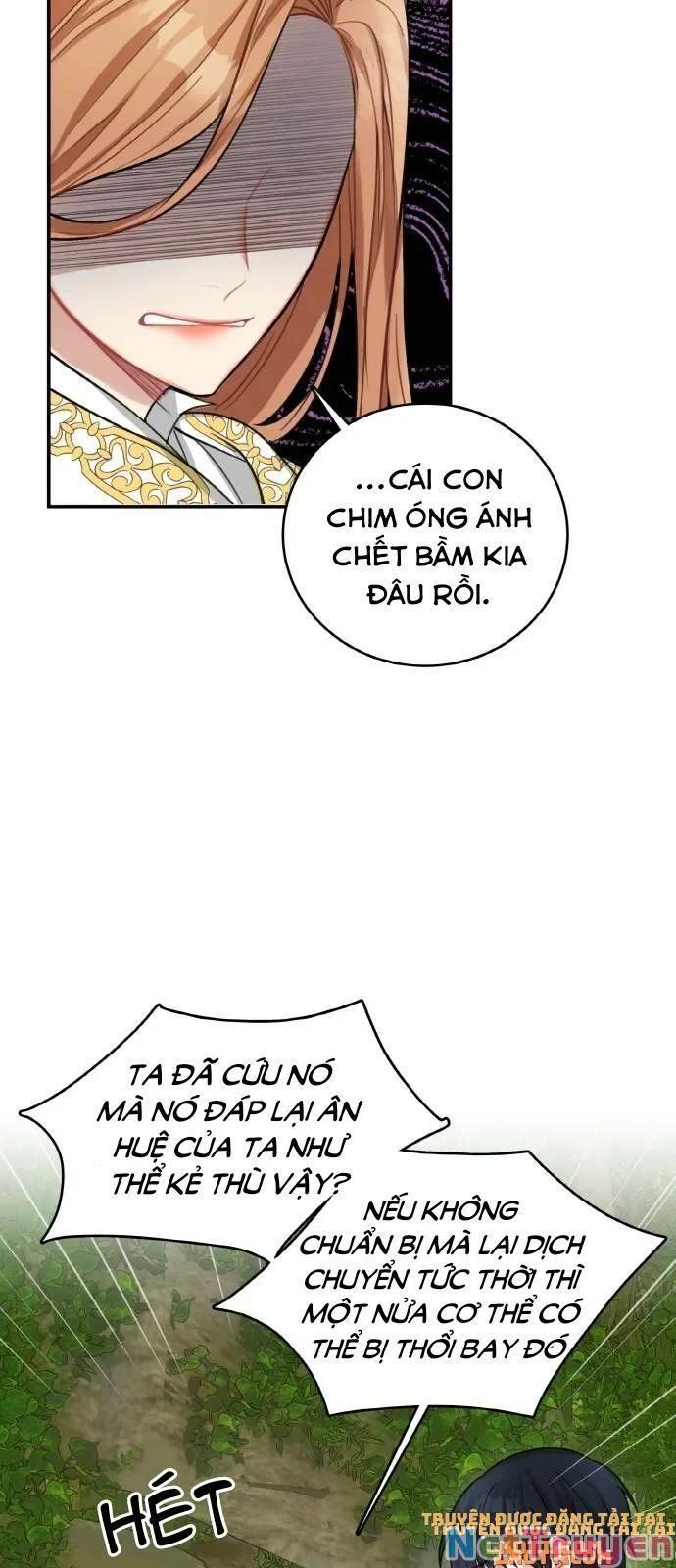 đọc truyện Nhật Ký Tuần Trăng Mật Của Phù Thủy Và Rồng Chương 17 ảnh 58 tại Thiên Thai Truyện