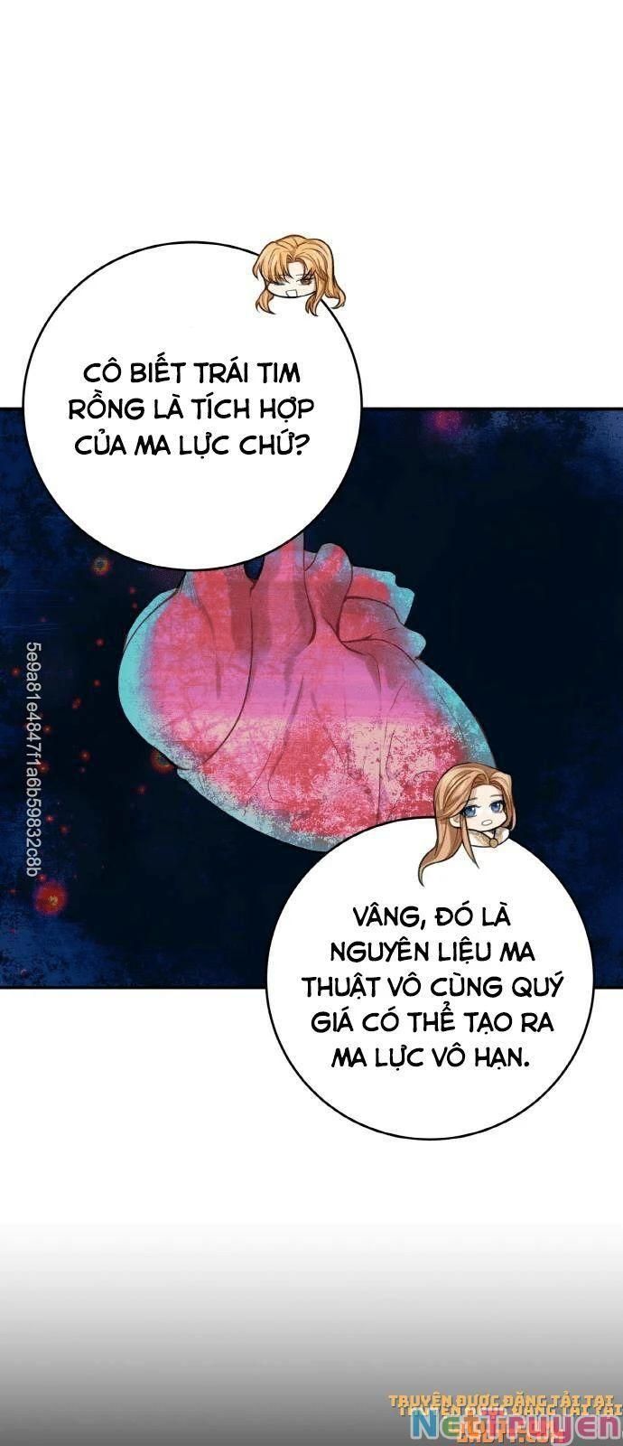 đọc truyện Nhật Ký Tuần Trăng Mật Của Phù Thủy Và Rồng Chương 18 ảnh 30 tại Giả Dược