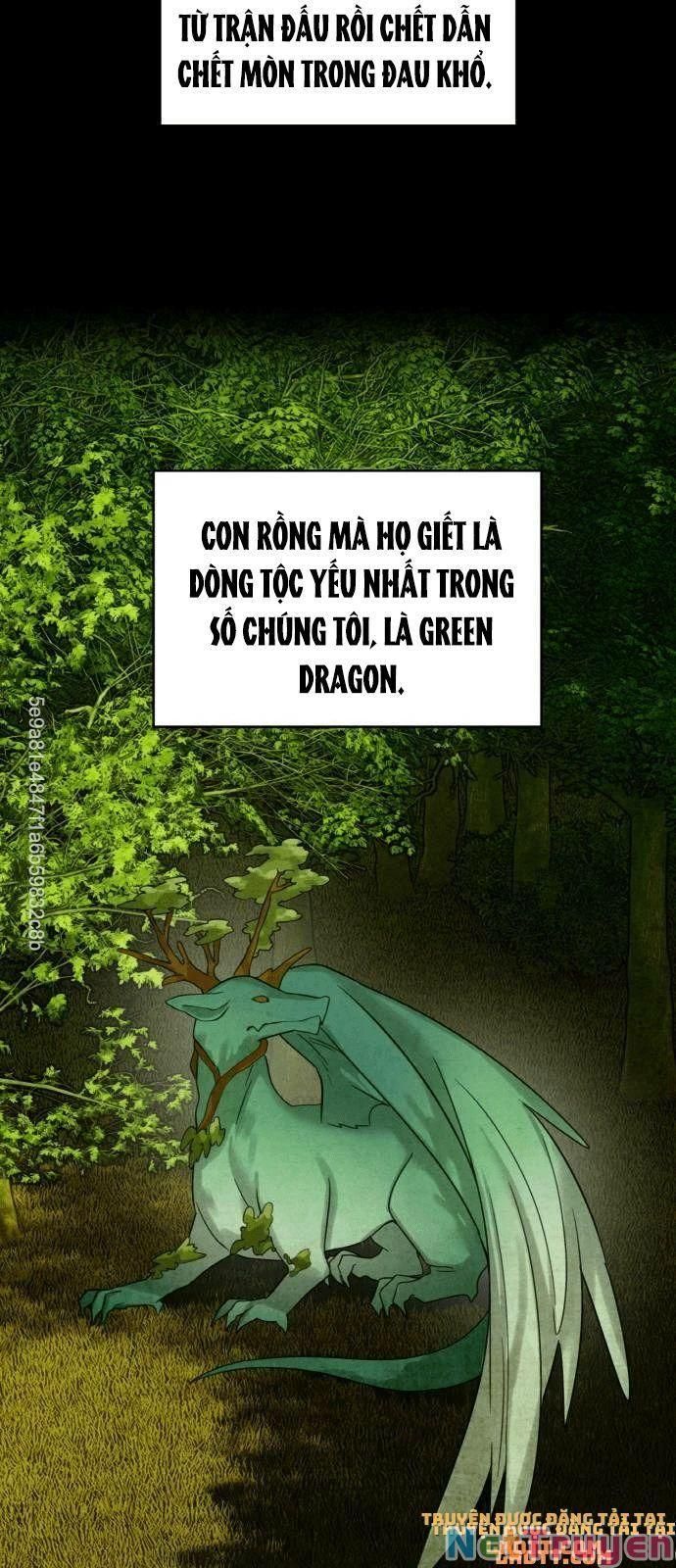 đọc truyện Nhật Ký Tuần Trăng Mật Của Phù Thủy Và Rồng Chương 18 ảnh 34 tại Giả Dược