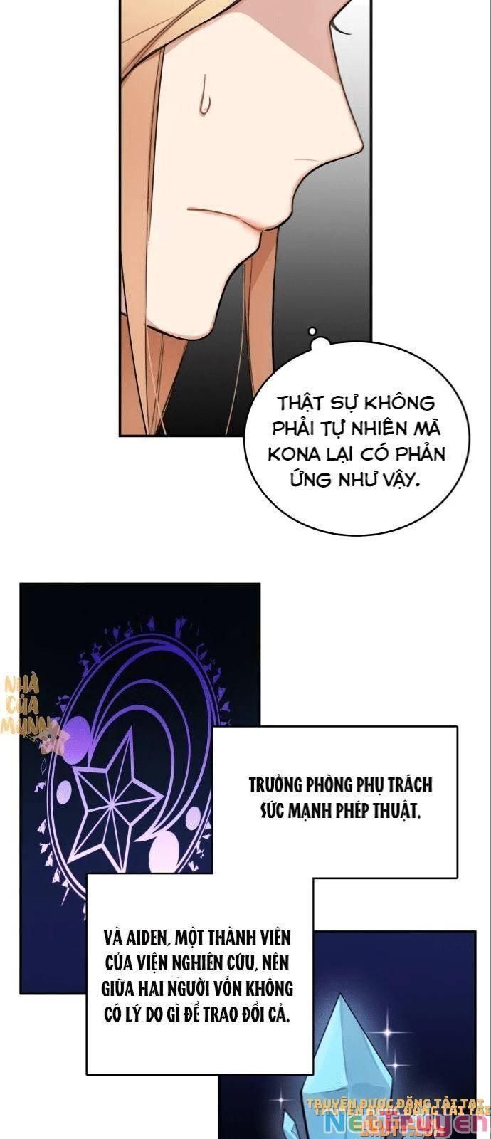đọc truyện Nhật Ký Tuần Trăng Mật Của Phù Thủy Và Rồng Chương 2 ảnh 51 tại Giả Dược