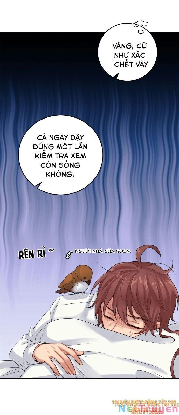 đọc truyện Nhật Ký Tuần Trăng Mật Của Phù Thủy Và Rồng Chương 22 ảnh 17 tại Thiên Thai Truyện