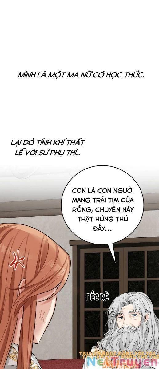 đọc truyện Nhật Ký Tuần Trăng Mật Của Phù Thủy Và Rồng Chương 23 ảnh 9 tại Thiên Thai Truyện