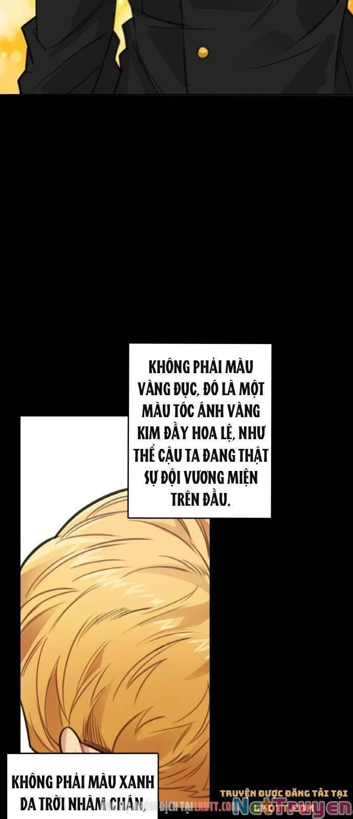 đọc truyện Nhật Ký Tuần Trăng Mật Của Phù Thủy Và Rồng Chương 27 ảnh 37 tại Thiên Thai Truyện