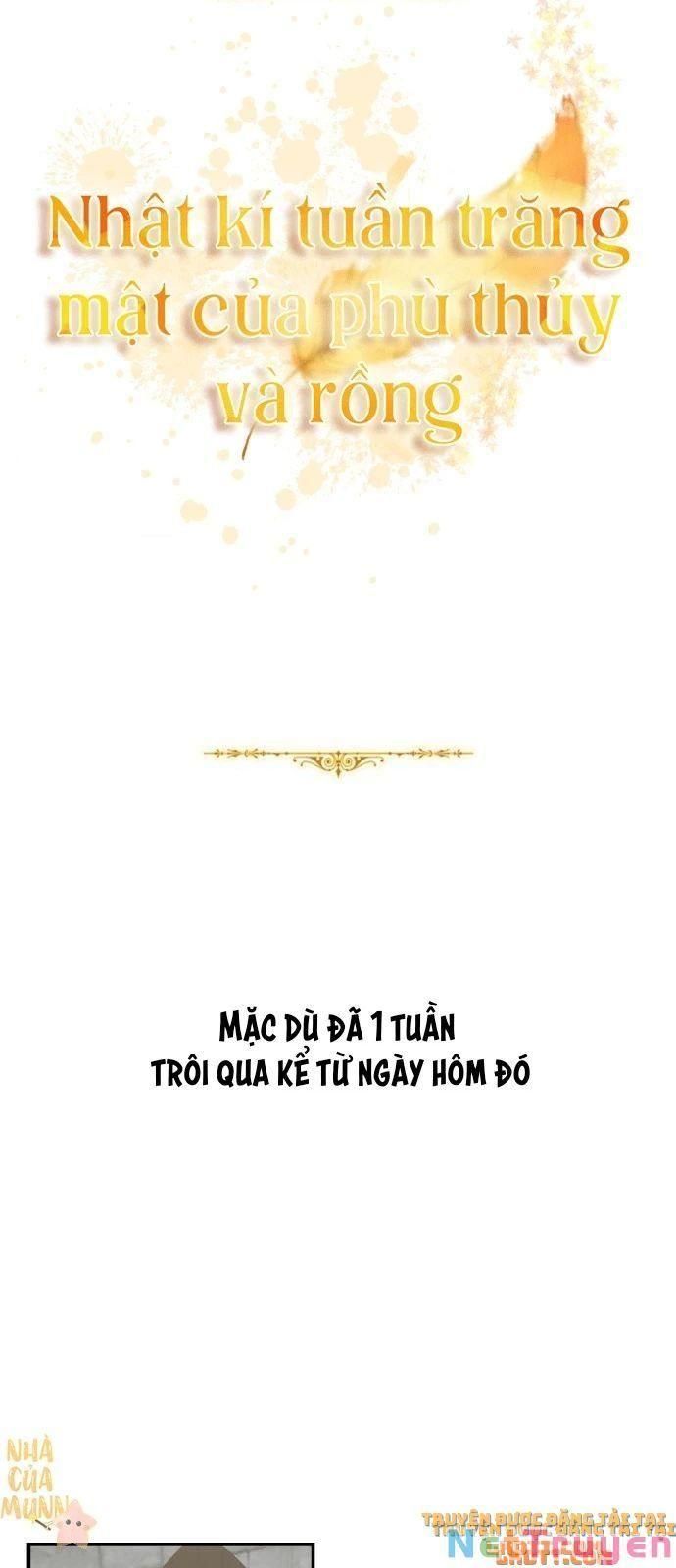 đọc truyện Nhật Ký Tuần Trăng Mật Của Phù Thủy Và Rồng Chương 3 ảnh 7 tại Thiên Thai Truyện