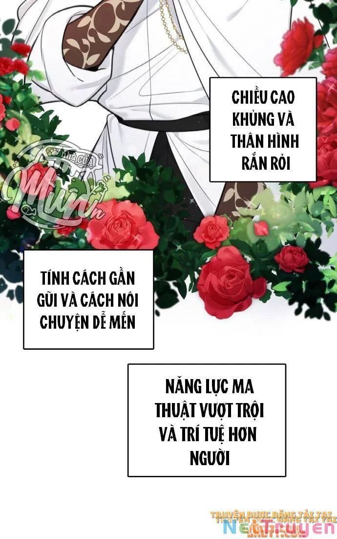 đọc truyện Nhật Ký Tuần Trăng Mật Của Phù Thủy Và Rồng Chương 31 ảnh 29 tại Giả Dược