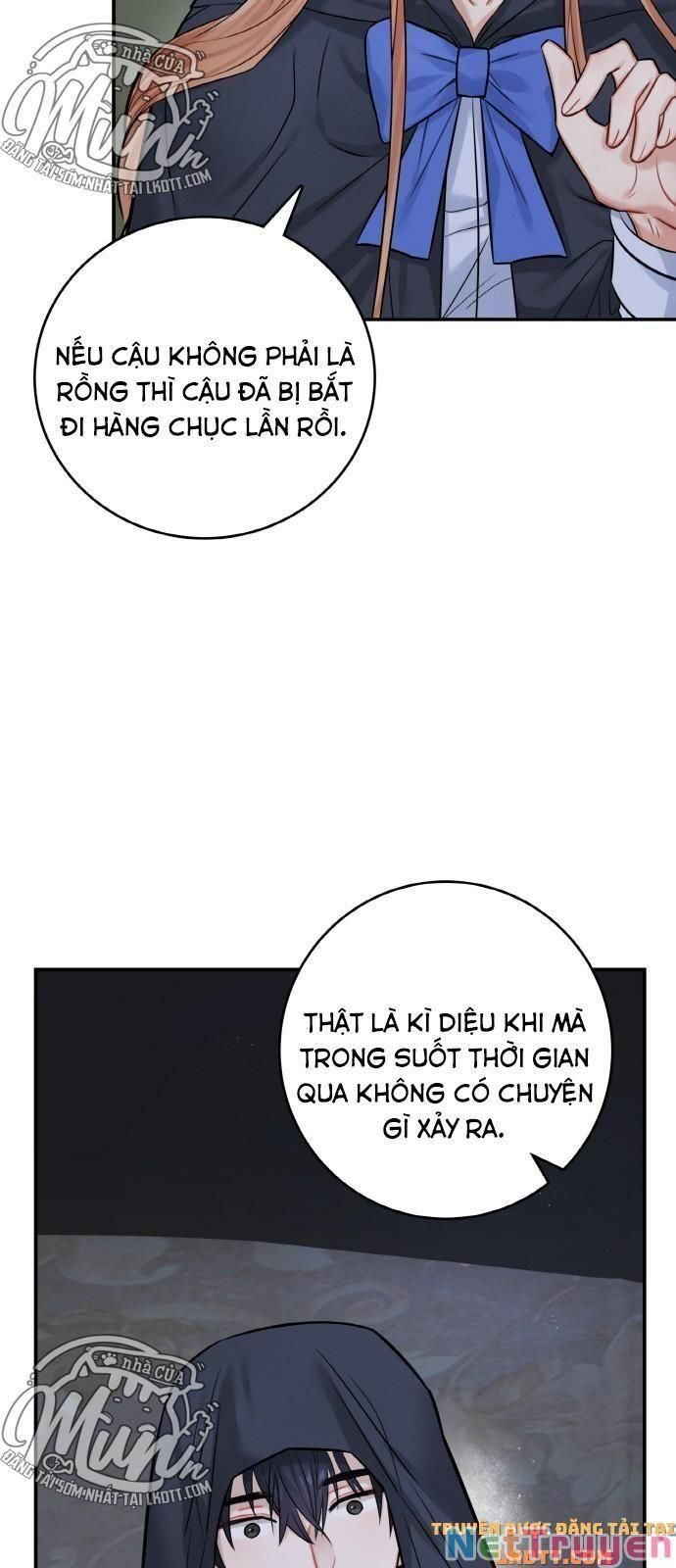 đọc truyện Nhật Ký Tuần Trăng Mật Của Phù Thủy Và Rồng Chương 37 ảnh 15 tại Thiên Thai Truyện