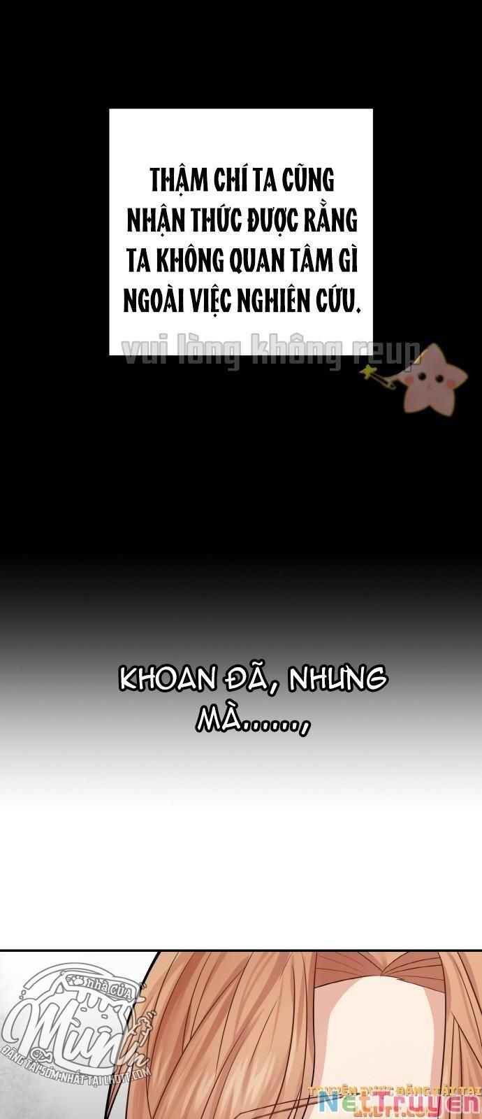 đọc truyện Nhật Ký Tuần Trăng Mật Của Phù Thủy Và Rồng Chương 37 ảnh 26 tại Thiên Thai Truyện