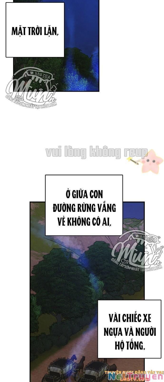 đọc truyện Nhật Ký Tuần Trăng Mật Của Phù Thủy Và Rồng Chương 37 ảnh 46 tại Thiên Thai Truyện