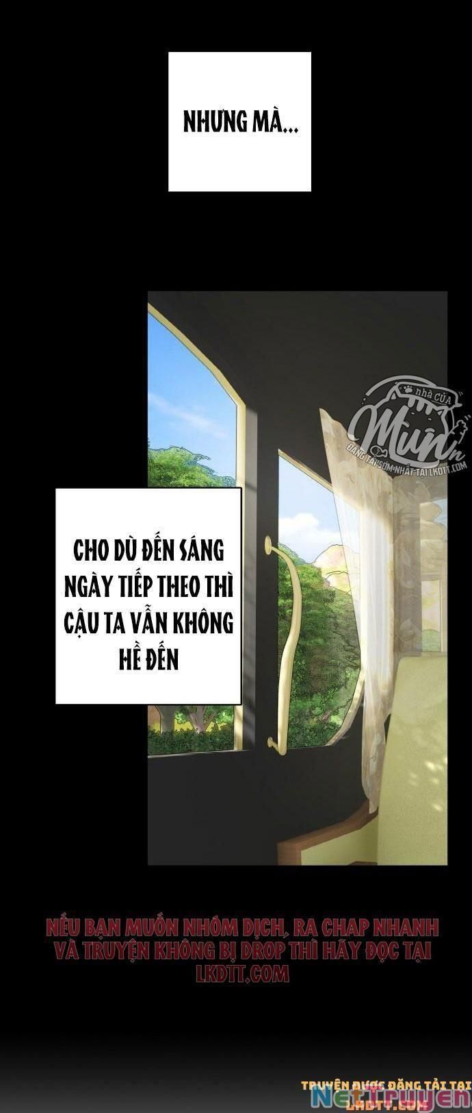 đọc truyện Nhật Ký Tuần Trăng Mật Của Phù Thủy Và Rồng Chương 39 ảnh 10 tại Thiên Thai Truyện