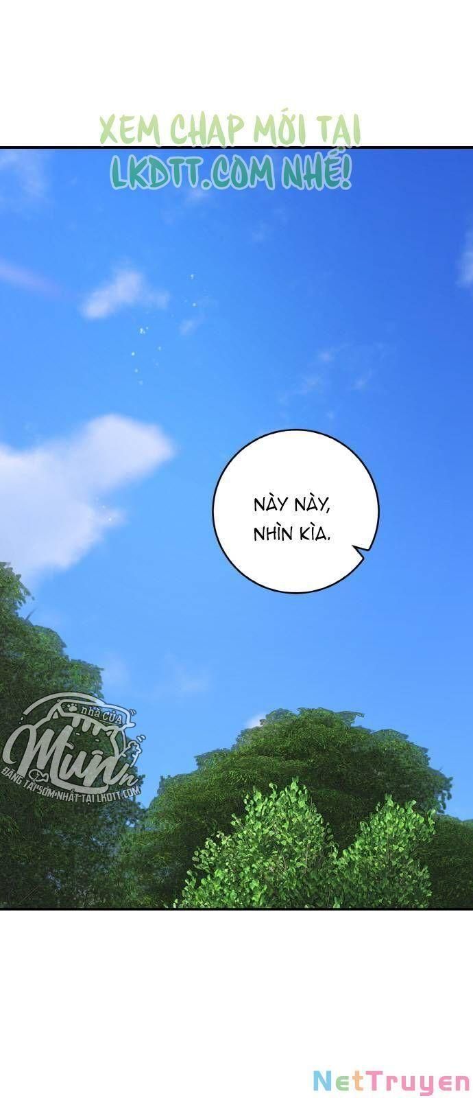 đọc truyện Nhật Ký Tuần Trăng Mật Của Phù Thủy Và Rồng Chương 40 ảnh 1 tại Giả Dược