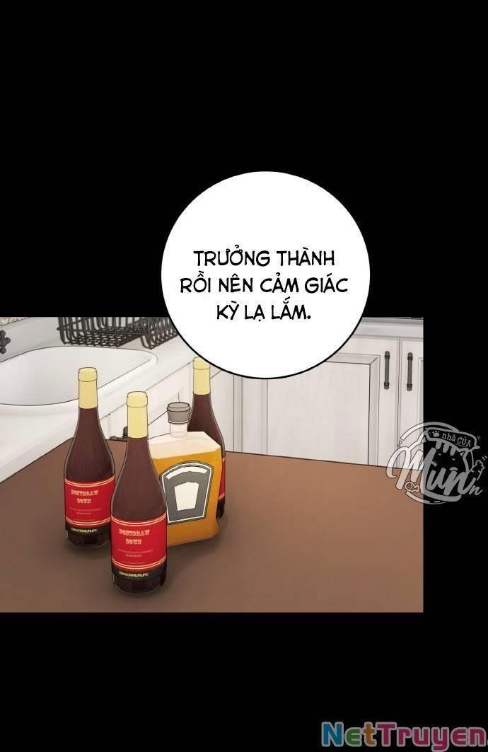đọc truyện Nhật Ký Tuần Trăng Mật Của Phù Thủy Và Rồng Chương 52.2 ảnh 24 tại Thiên Thai Truyện
