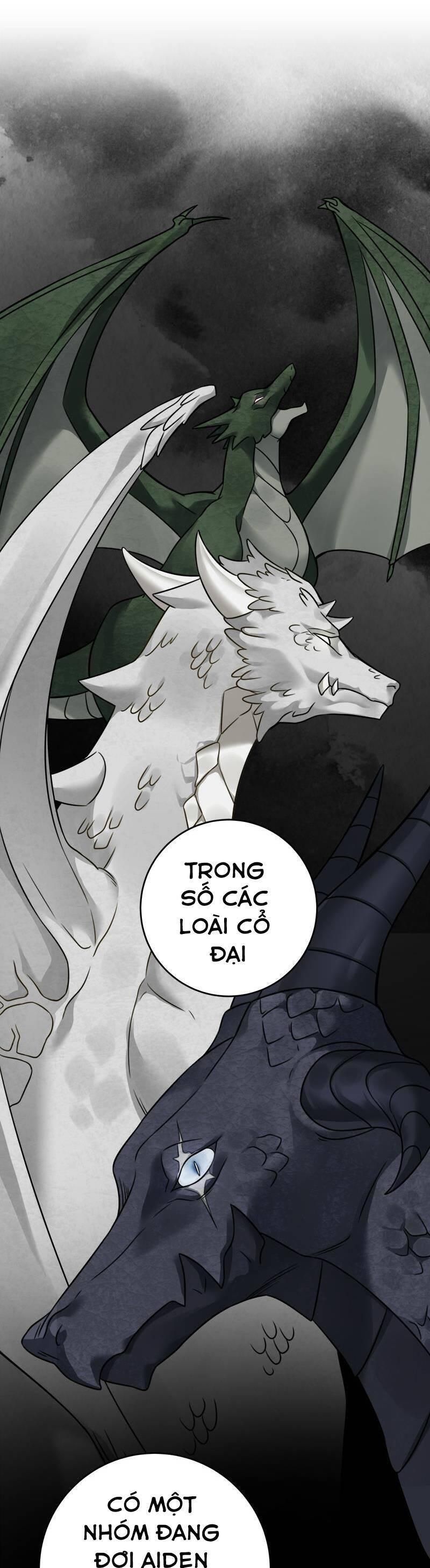 đọc truyện Nhật Ký Tuần Trăng Mật Của Phù Thủy Và Rồng Chương 91 ảnh 23 tại Thiên Thai Truyện