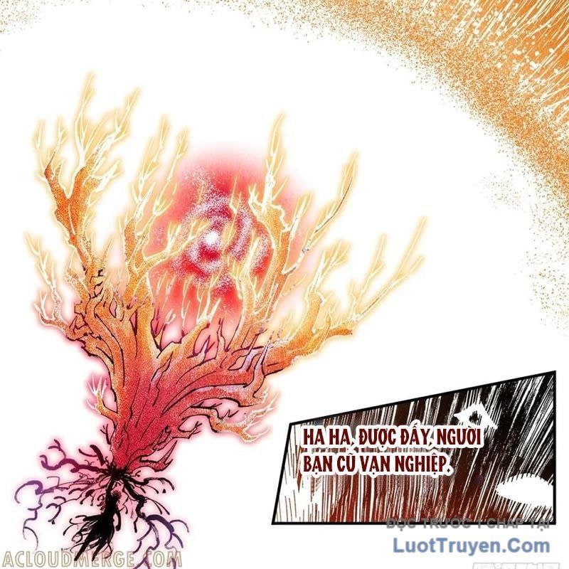 đọc truyện Nhật Nguyệt Đồng Thác Chương 288 ảnh 33 tại Thiên Thai Truyện