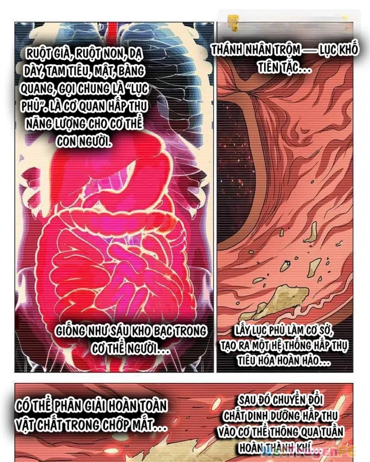 đọc truyện Nhất Nhân Chi Hạ Chương 348 ảnh 8 tại Thiên Thai Truyện