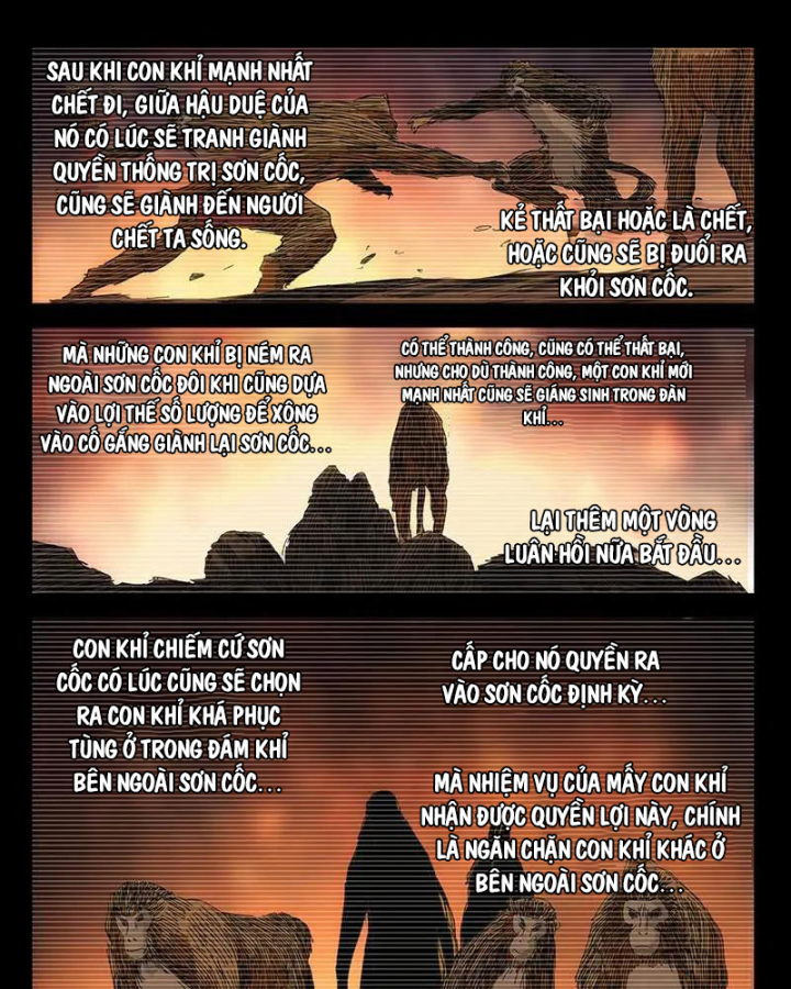 đọc truyện Nhất Nhân Chi Hạ Chương 356 ảnh 30 tại Thiên Thai Truyện